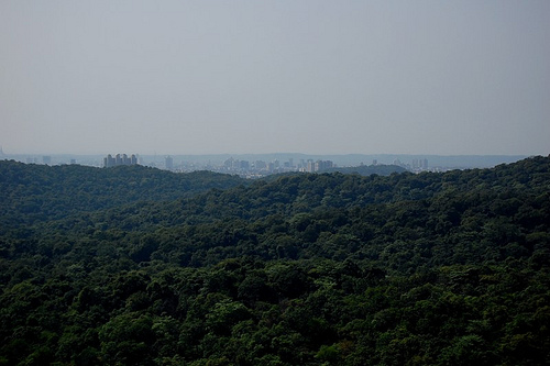 Sanjay Gandhi National Park
